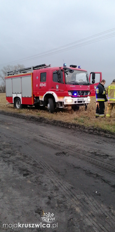  Kot utknął na słupie telegraficznym w Bachorcach. Interweniowali strażacy