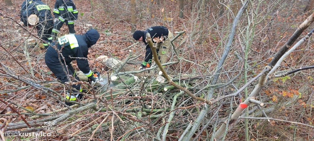 Wzięli udział w sprzątaniu na Mietlicy