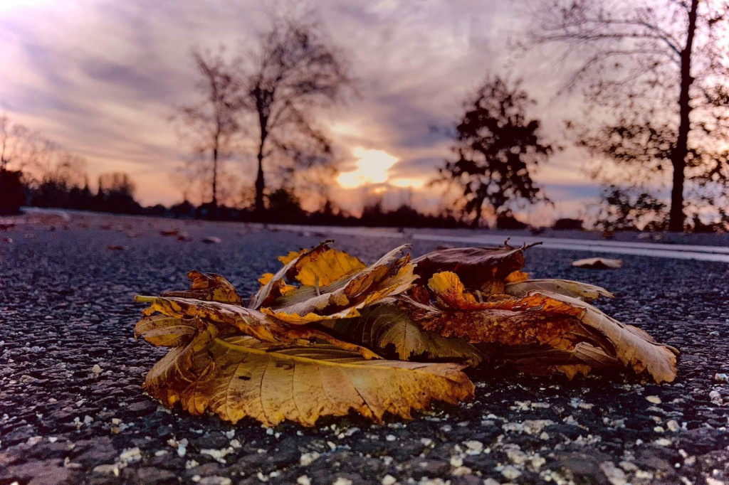 Wzięli udział w Powiatowym Konkursie Plastycznym i Fotograficznym