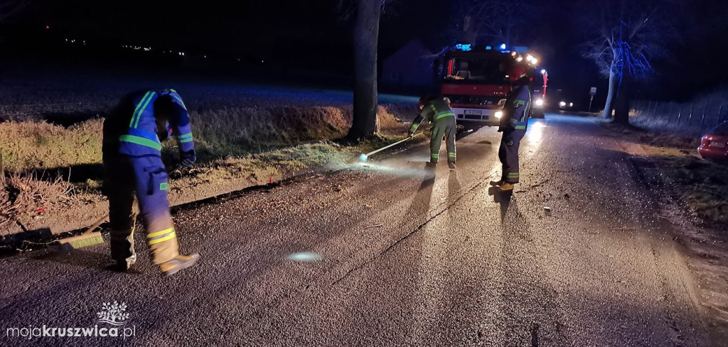  Bródzki. Nad ranem doszło do wypadku. Auto uderzyło w drzewo