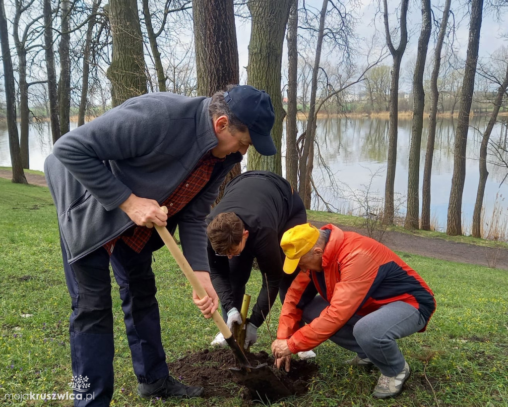 Na Półwyspie Rzępowskim sadzili drzewa! [ZDJĘCIA]