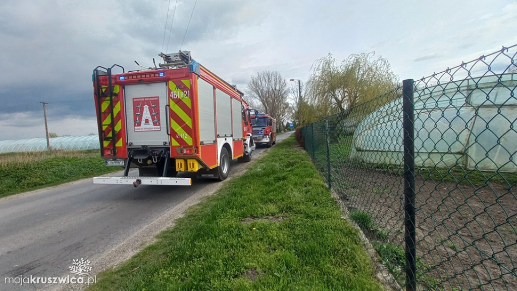 W Łojewie zderzyły się dwa auta osobowe