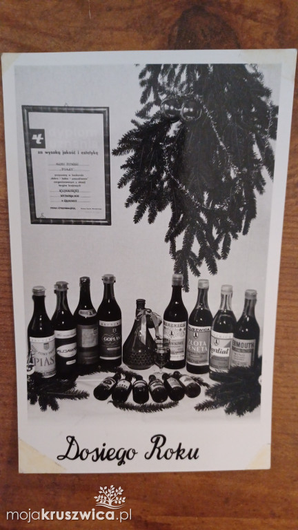 Wspaniała historia kruszwickiej winiarni zamknięta w starych fotografiach [ZDJĘCIA