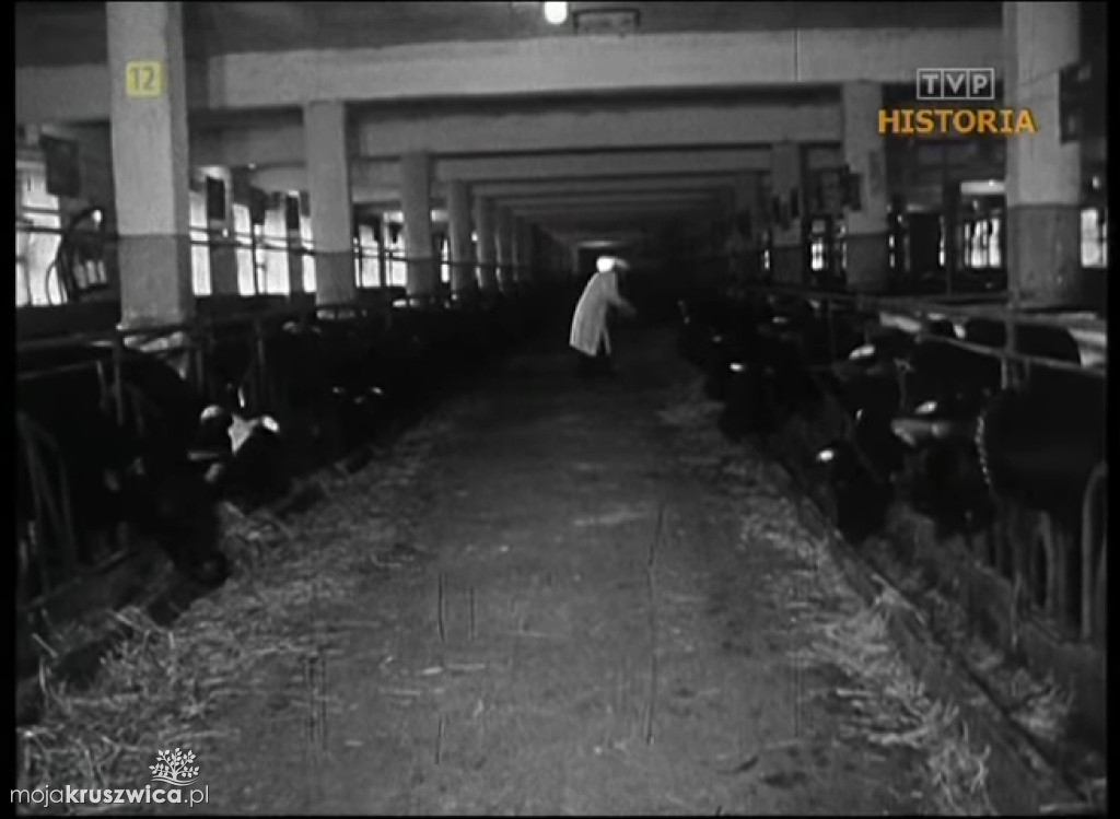 Dawna Kruszwica. Kruszwica w latach 60. XX wieku