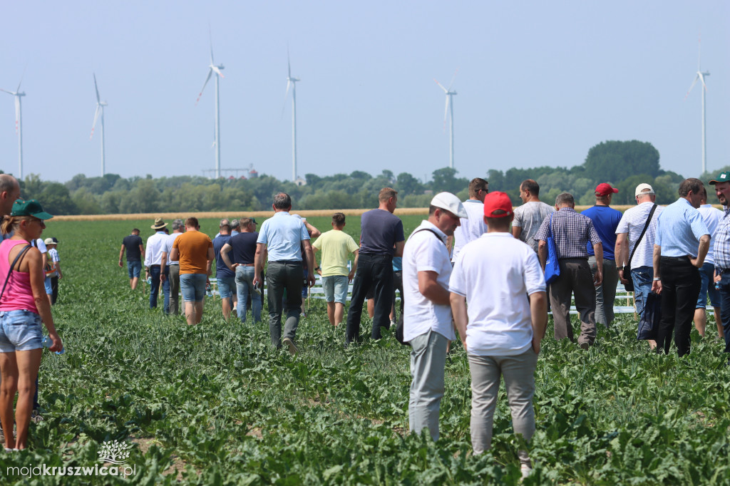 W regionie odbyły się Dni Pola. Nagrodzono plantatorów! [ZDJĘCIA]