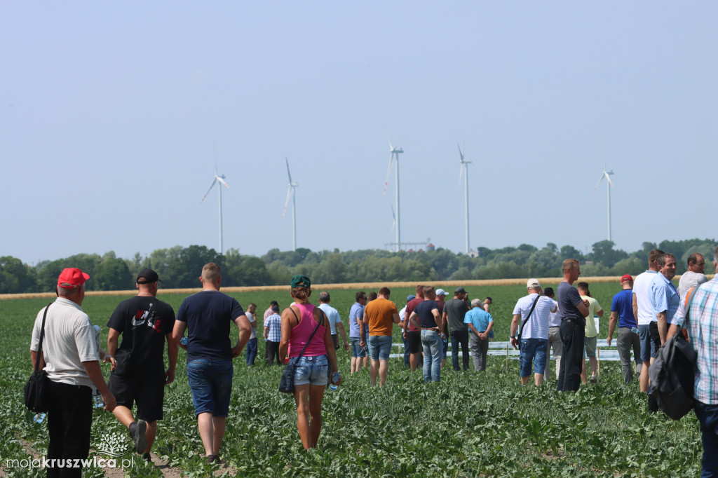 W regionie odbyły się Dni Pola. Nagrodzono plantatorów! [ZDJĘCIA]