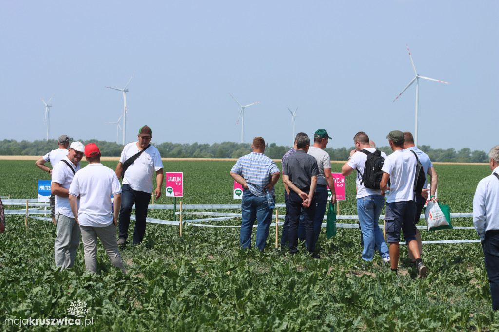 W regionie odbyły się Dni Pola. Nagrodzono plantatorów! [ZDJĘCIA]