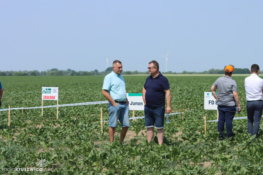 W regionie odbyły się Dni Pola. Nagrodzono plantatorów! [ZDJĘCIA]