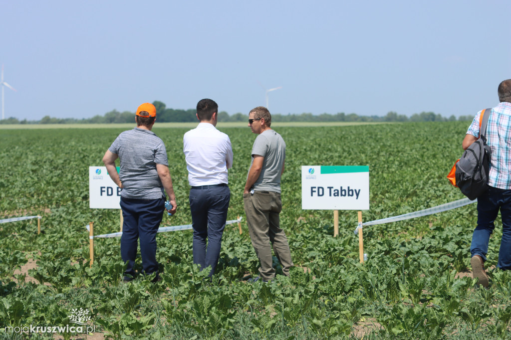 W regionie odbyły się Dni Pola. Nagrodzono plantatorów! [ZDJĘCIA]