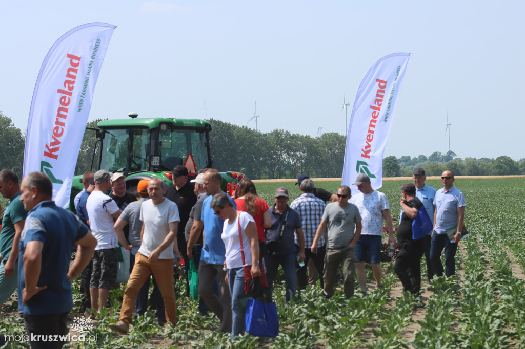 W regionie odbyły się Dni Pola. Nagrodzono plantatorów! [ZDJĘCIA]