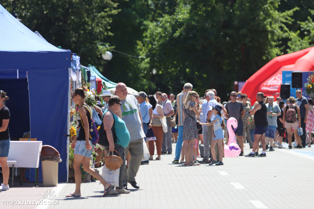 NASZ PATRONAT: W Kruszwicy rozpoczął się Jarmark Nowalijkowy [ZDJĘCIA]