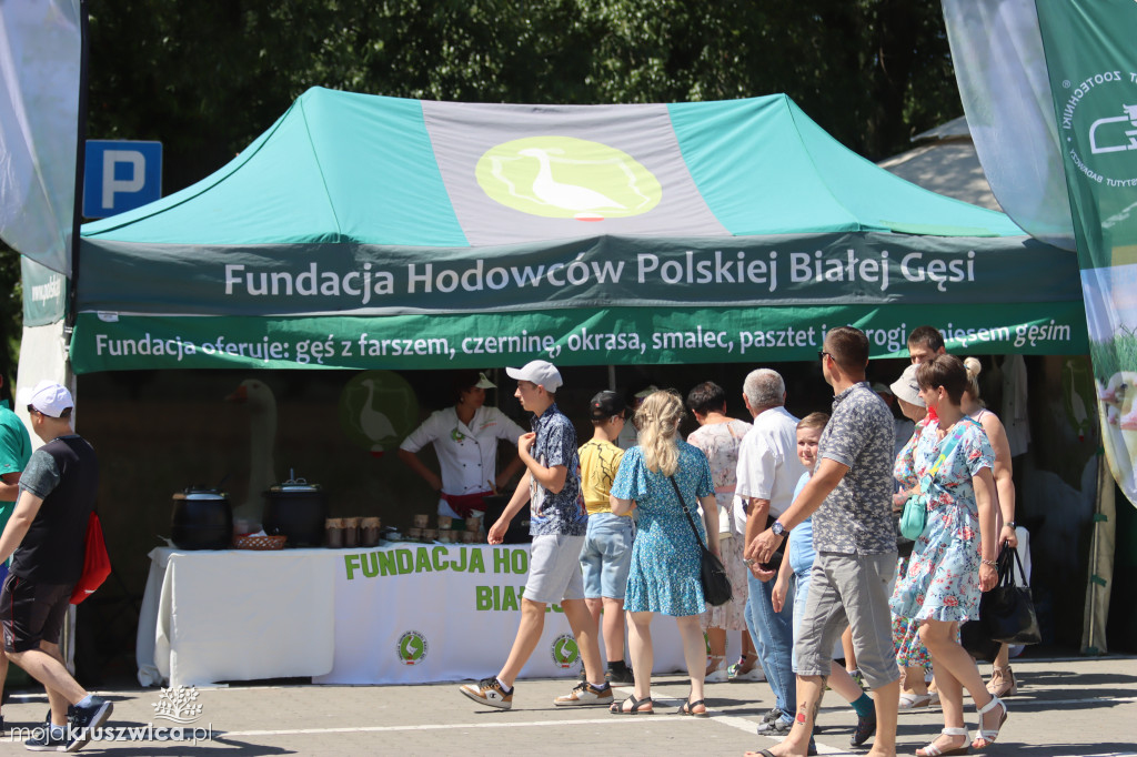 NASZ PATRONAT: W Kruszwicy rozpoczął się Jarmark Nowalijkowy [ZDJĘCIA]
