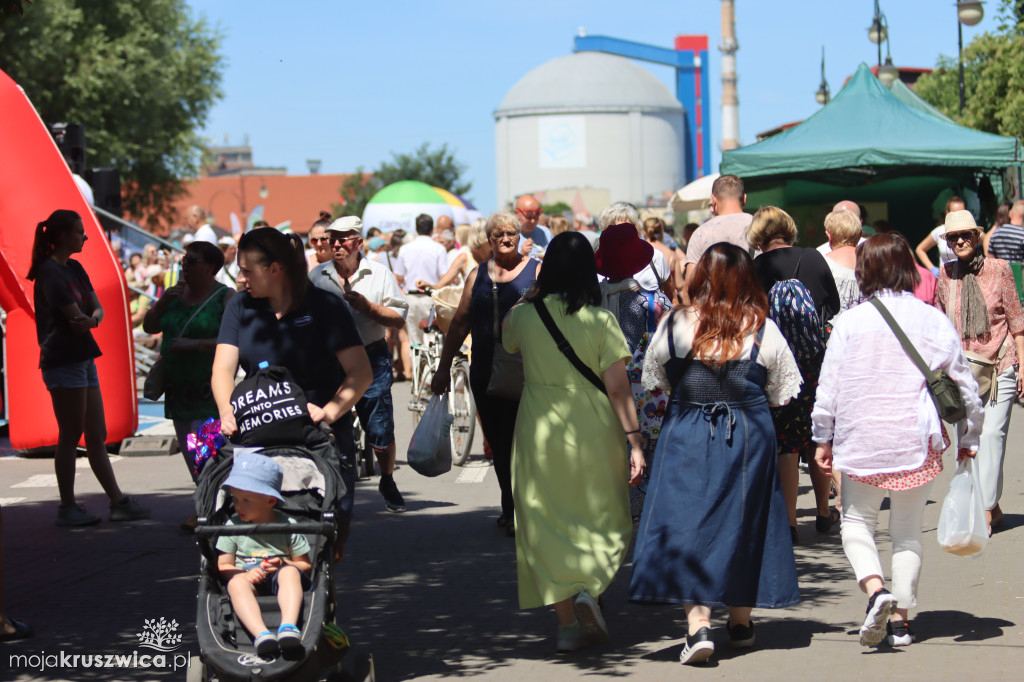 NASZ PATRONAT: W Kruszwicy rozpoczął się Jarmark Nowalijkowy [ZDJĘCIA]