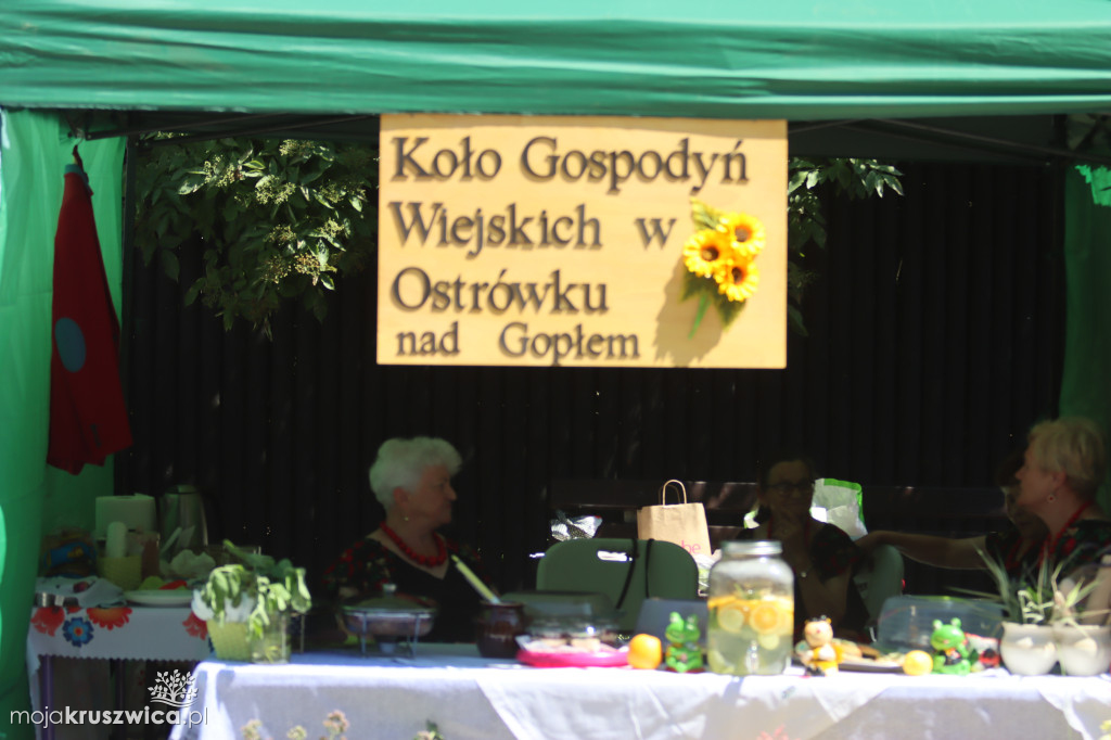 NASZ PATRONAT: W Kruszwicy rozpoczął się Jarmark Nowalijkowy [ZDJĘCIA]