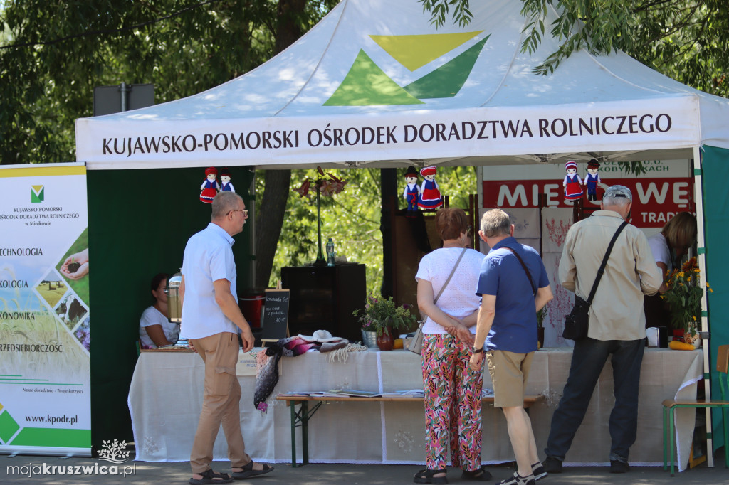 NASZ PATRONAT: W Kruszwicy rozpoczął się Jarmark Nowalijkowy [ZDJĘCIA]