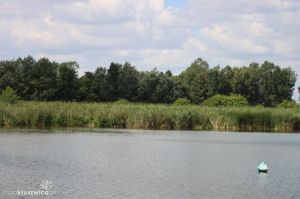 Barwanną w rejs!