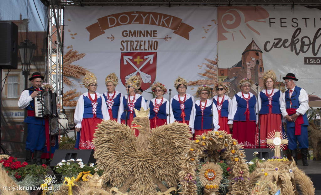 Nasz Patronat: Zakończenie Festiwalu Czekolady i Słodyczy w Strzelnie [FOTO]