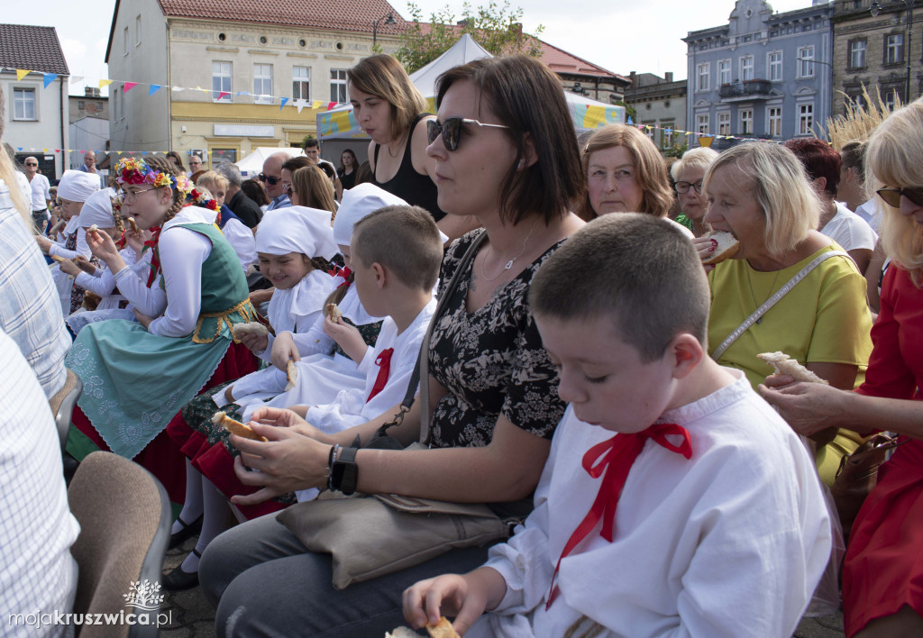 Nasz Patronat: Zakończenie Festiwalu Czekolady i Słodyczy w Strzelnie [FOTO]