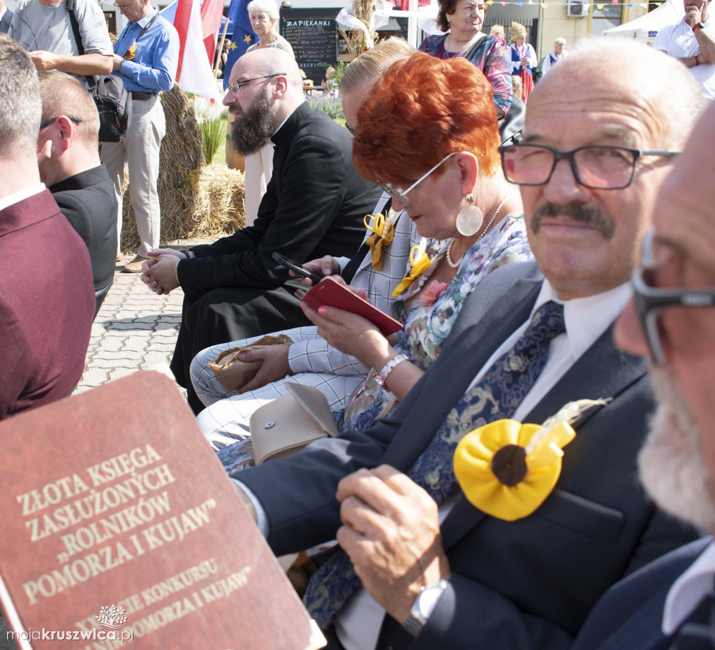 Nasz Patronat: Zakończenie Festiwalu Czekolady i Słodyczy w Strzelnie [FOTO]