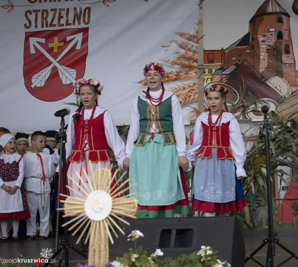 Nasz Patronat: Zakończenie Festiwalu Czekolady i Słodyczy w Strzelnie [FOTO]