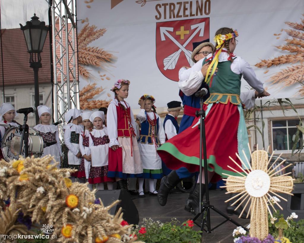 Nasz Patronat: Zakończenie Festiwalu Czekolady i Słodyczy w Strzelnie [FOTO]