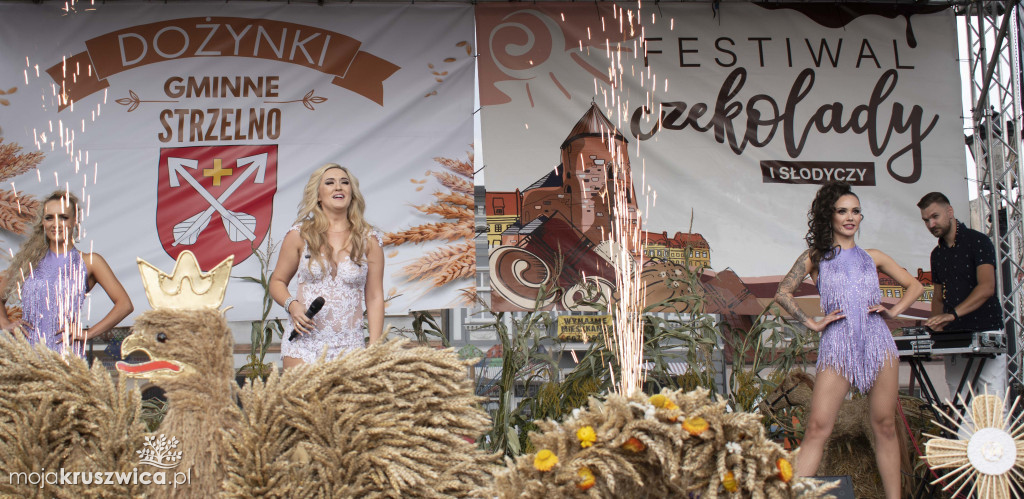 Nasz Patronat: Zakończenie Festiwalu Czekolady i Słodyczy w Strzelnie [FOTO]