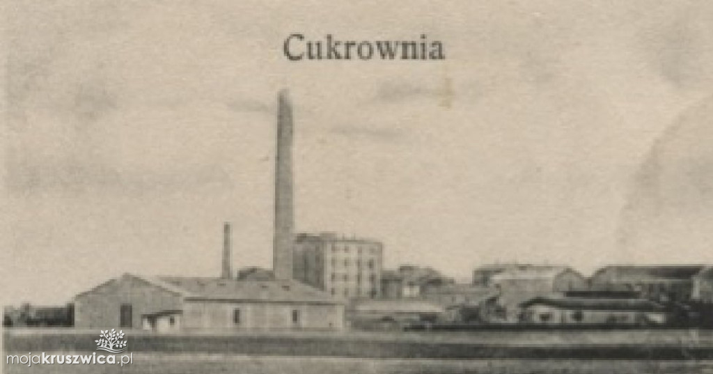 Kujawskie rolnictwo zawdzięczało wiele nowym środkom komunikacji i fabrykom cukru!