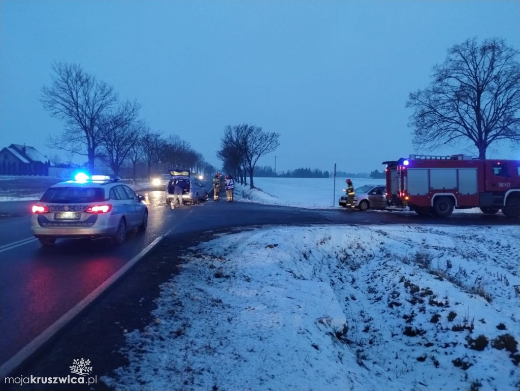 Groźny wypadek w regionie. Na szczęście nikt nie ucierpiał! [FOTO]