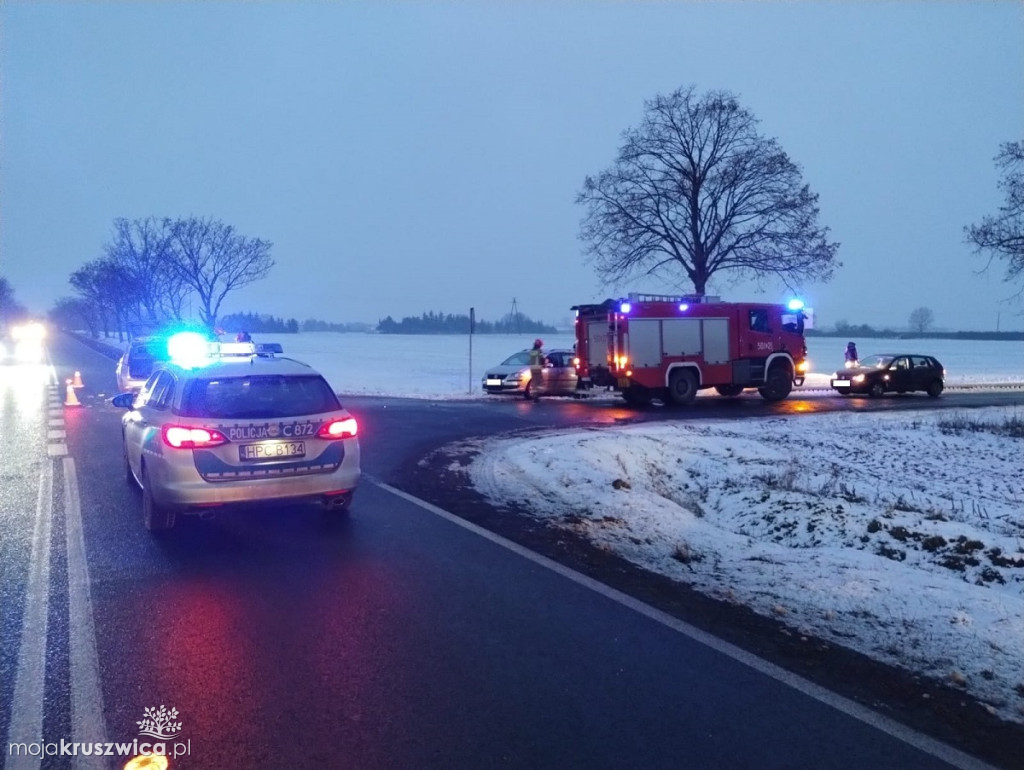Groźny wypadek w regionie. Na szczęście nikt nie ucierpiał! [FOTO]
