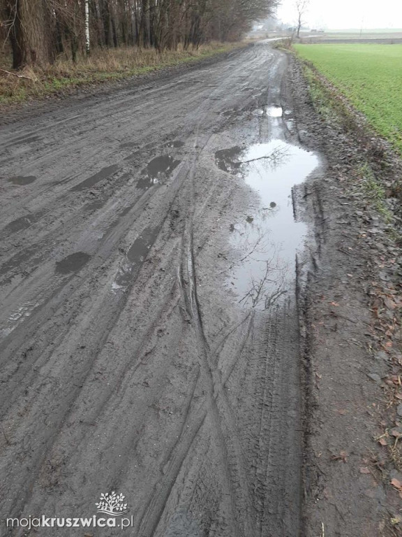 Mieszkańcy znów zwracają uwagę na zniszczoną drogę wiejską w Maszenicach
