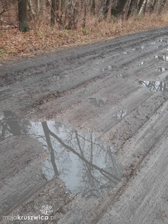 Mieszkańcy znów zwracają uwagę na zniszczoną drogę wiejską w Maszenicach