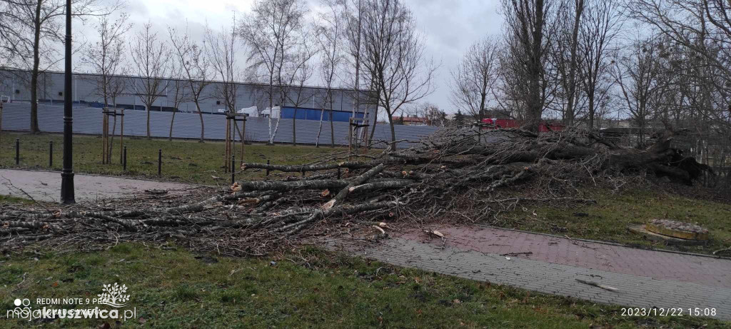 Dzisiaj mocno wieje! Nad Gopłem chwila moment i trzask! [ZDJĘCIA]