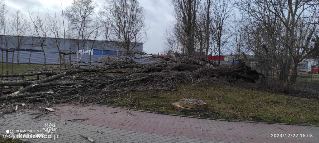 Dzisiaj mocno wieje! Nad Gopłem chwila moment i trzask! [ZDJĘCIA]