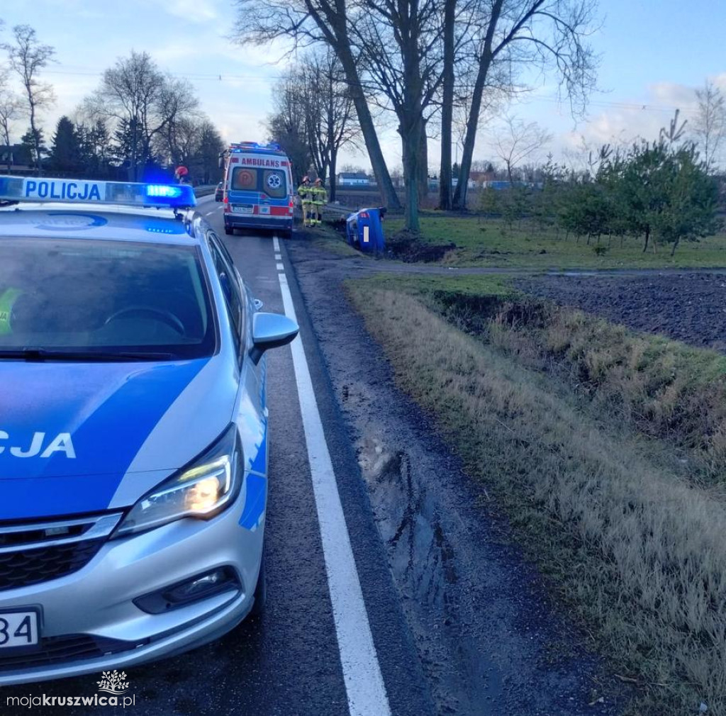 Kobieta zjechała z drogi aby uniknąć zderzenia ze zwierzęciem [FOTO]