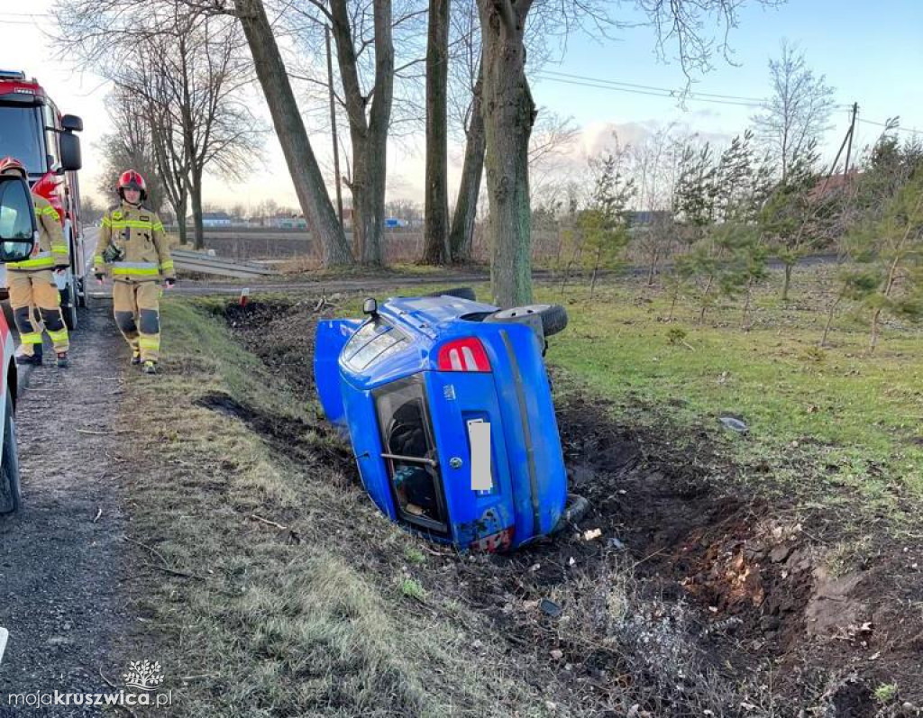 Kobieta zjechała z drogi aby uniknąć zderzenia ze zwierzęciem [FOTO]
