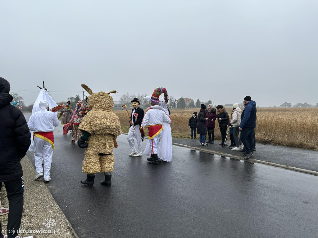 Pod Kruszwicą grasuje koza! Zobaczcie co dzieje się w gminie [FOTO]