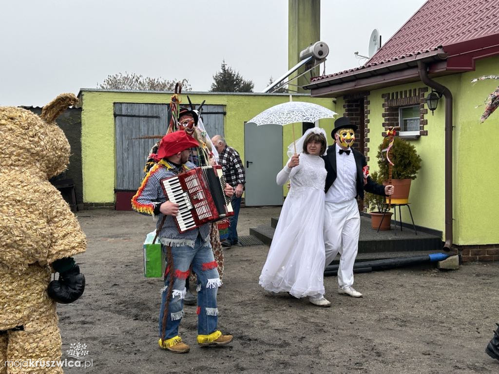 Pod Kruszwicą grasuje koza! Zobaczcie co dzieje się w gminie [FOTO]