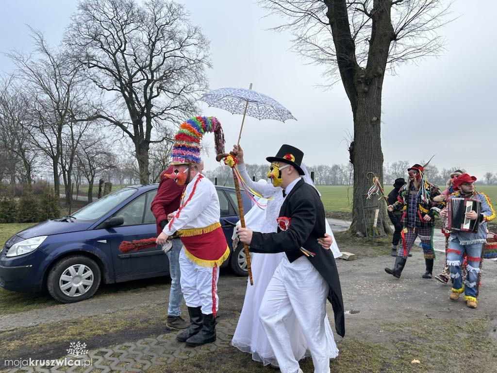 Pod Kruszwicą grasuje koza! Zobaczcie co dzieje się w gminie [FOTO]