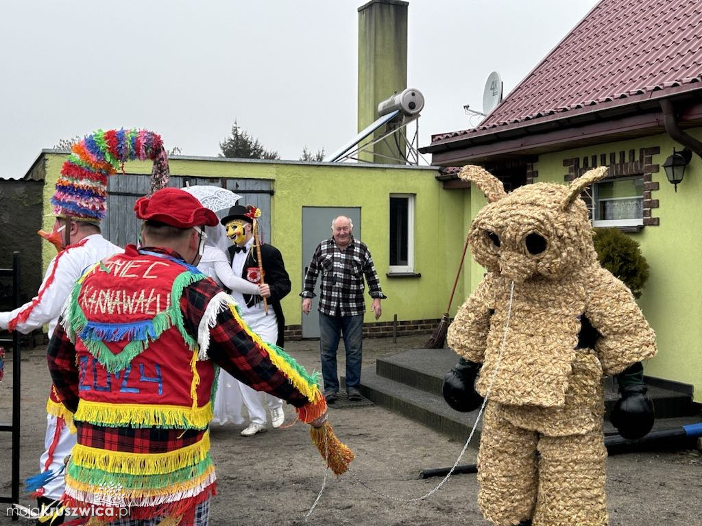 Pod Kruszwicą grasuje koza! Zobaczcie co dzieje się w gminie [FOTO]