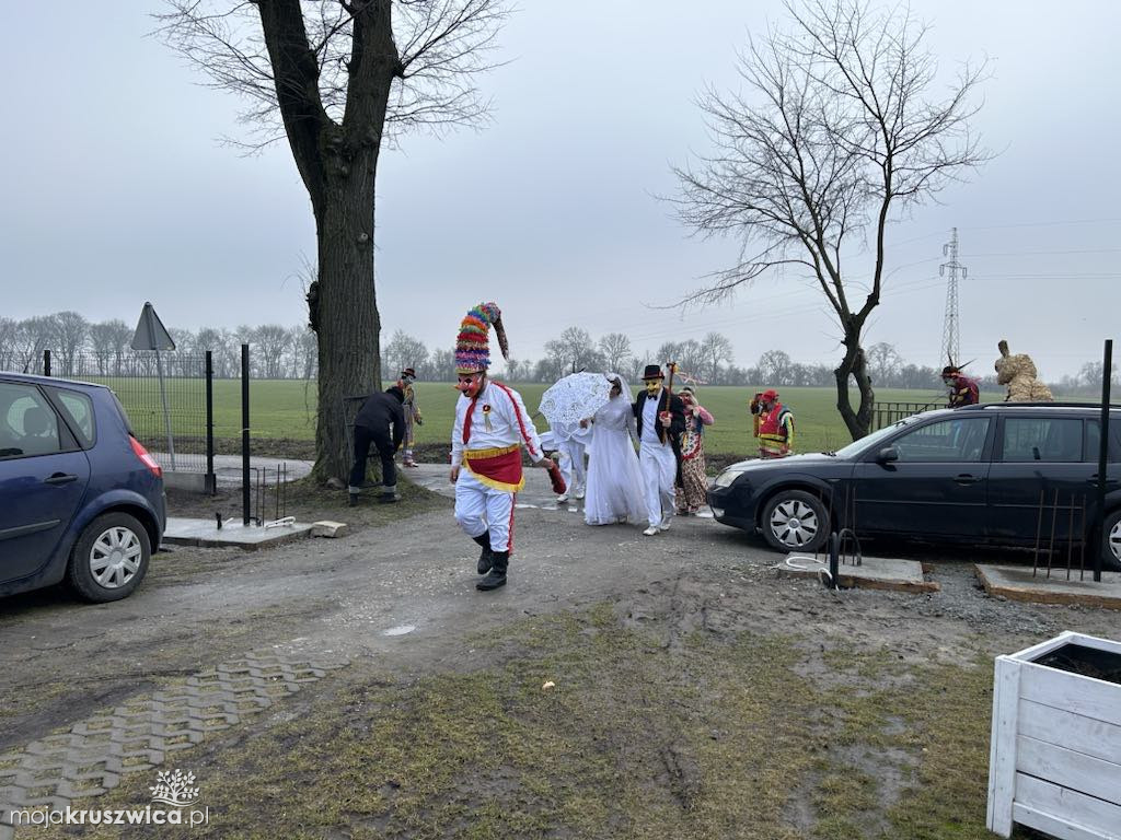 Pod Kruszwicą grasuje koza! Zobaczcie co dzieje się w gminie [FOTO]