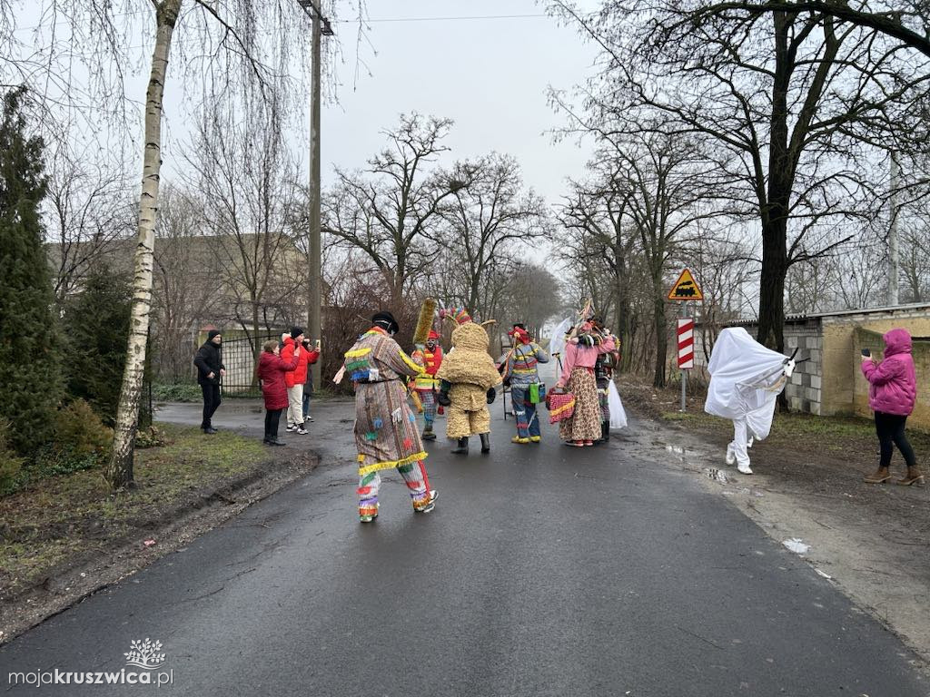 Pod Kruszwicą grasuje koza! Zobaczcie co dzieje się w gminie [FOTO]