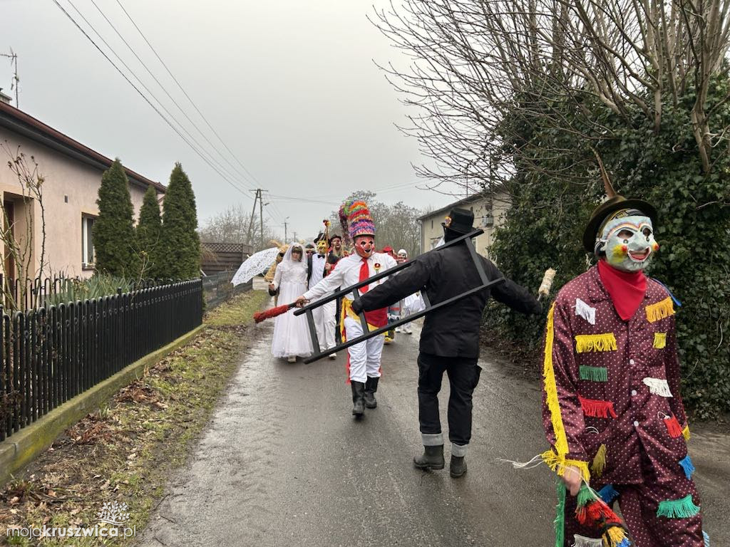 Pod Kruszwicą grasuje koza! Zobaczcie co dzieje się w gminie [FOTO]