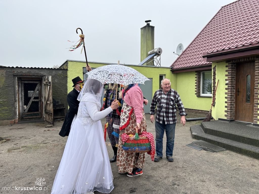 Pod Kruszwicą grasuje koza! Zobaczcie co dzieje się w gminie [FOTO]