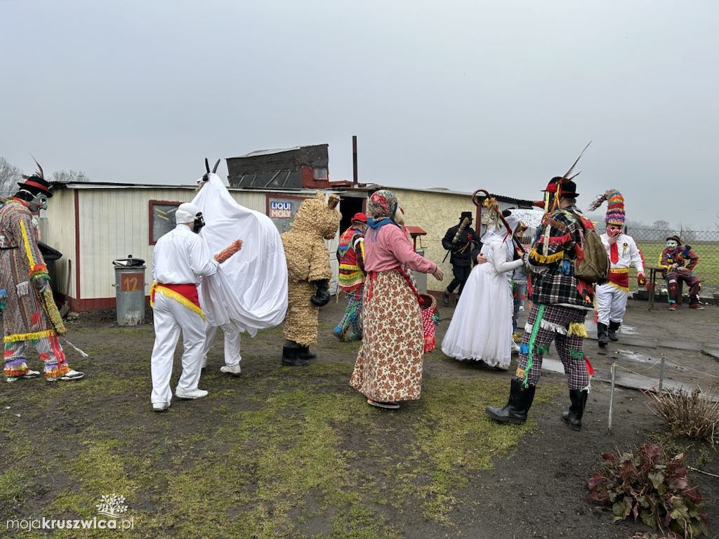 Pod Kruszwicą grasuje koza! Zobaczcie co dzieje się w gminie [FOTO]