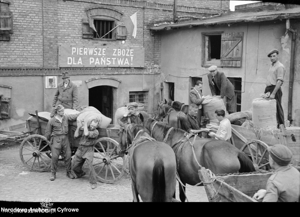 Narodowe Archiwum Cyfrowe z nowymi zdjęciami z Kruszwicy! Pochodzą z lat 1949-1951