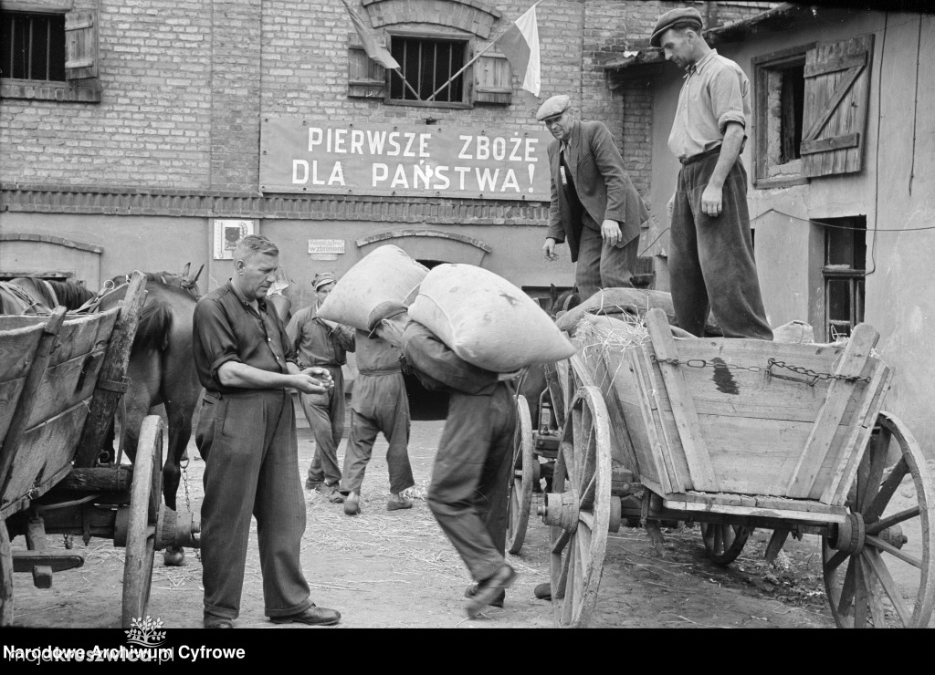 Narodowe Archiwum Cyfrowe z nowymi zdjęciami z Kruszwicy! Pochodzą z lat 1949-1951