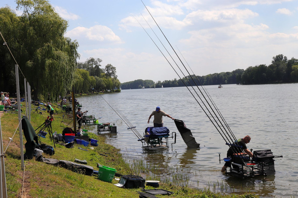 Spławikowe mistrzostwa w okręgu PZW Bydgoszcz nad Gopłem