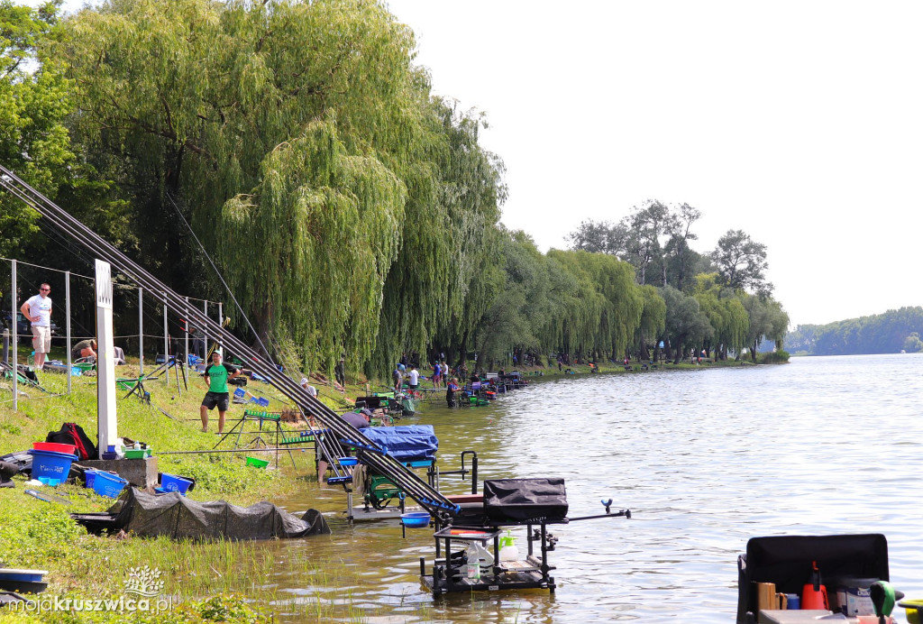 Spławikowe mistrzostwa w okręgu PZW Bydgoszcz nad Gopłem