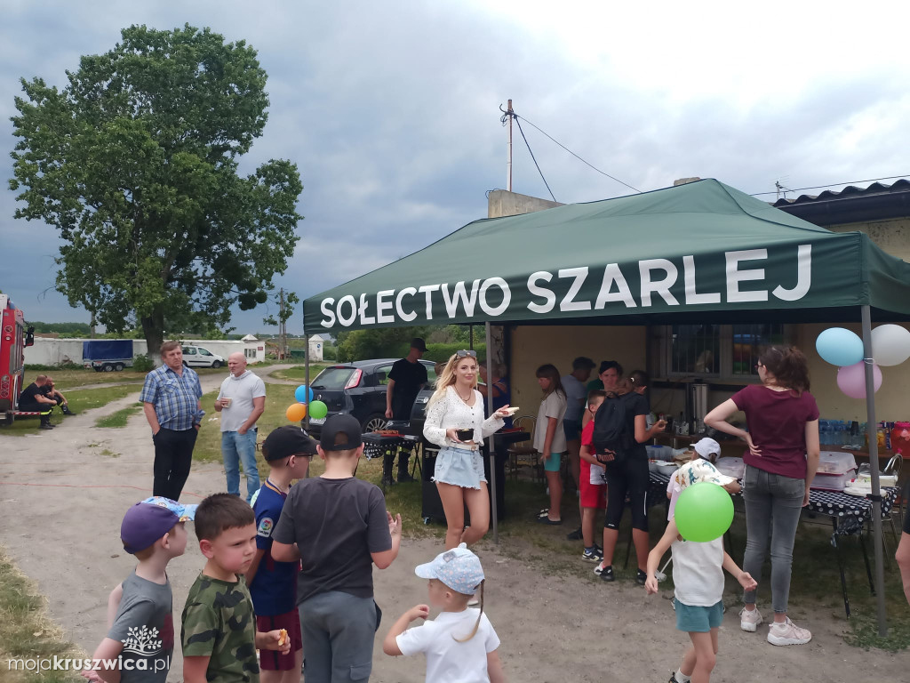 W Szarleju zorganizowali piknik rodzinny. Były warsztaty i atrakcje