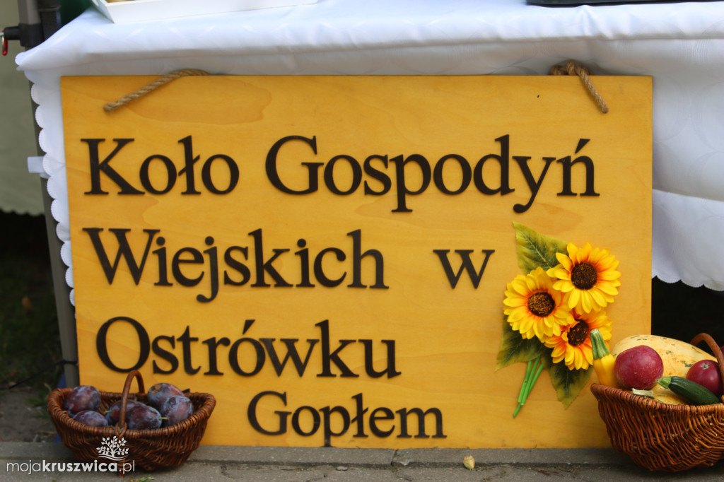 Trwają Kruszwickie Smaki! Plenerowe wydarzenie trwa pod Mysią Wieżą [FOTO,VIDEO]